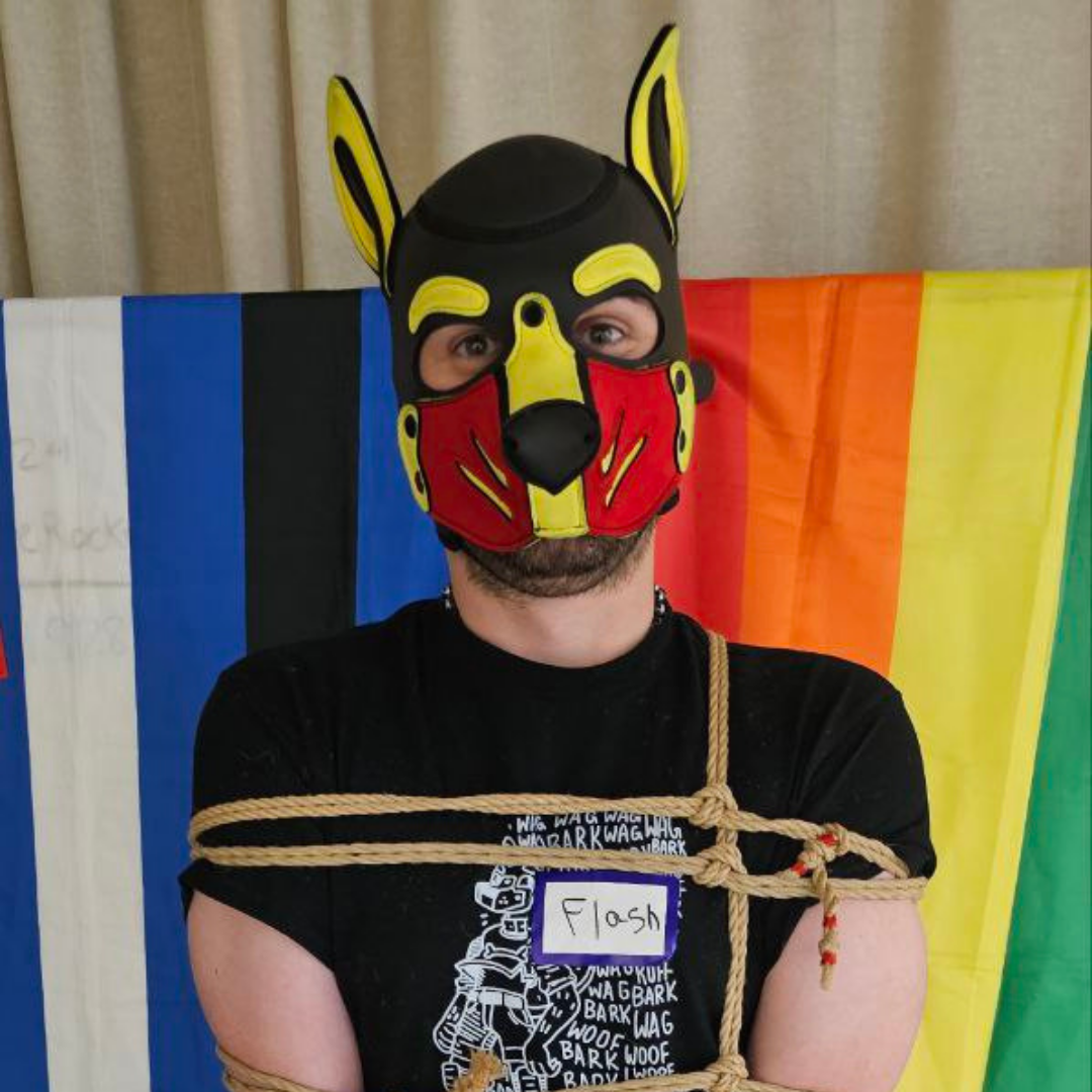 Photo of Pup Flash