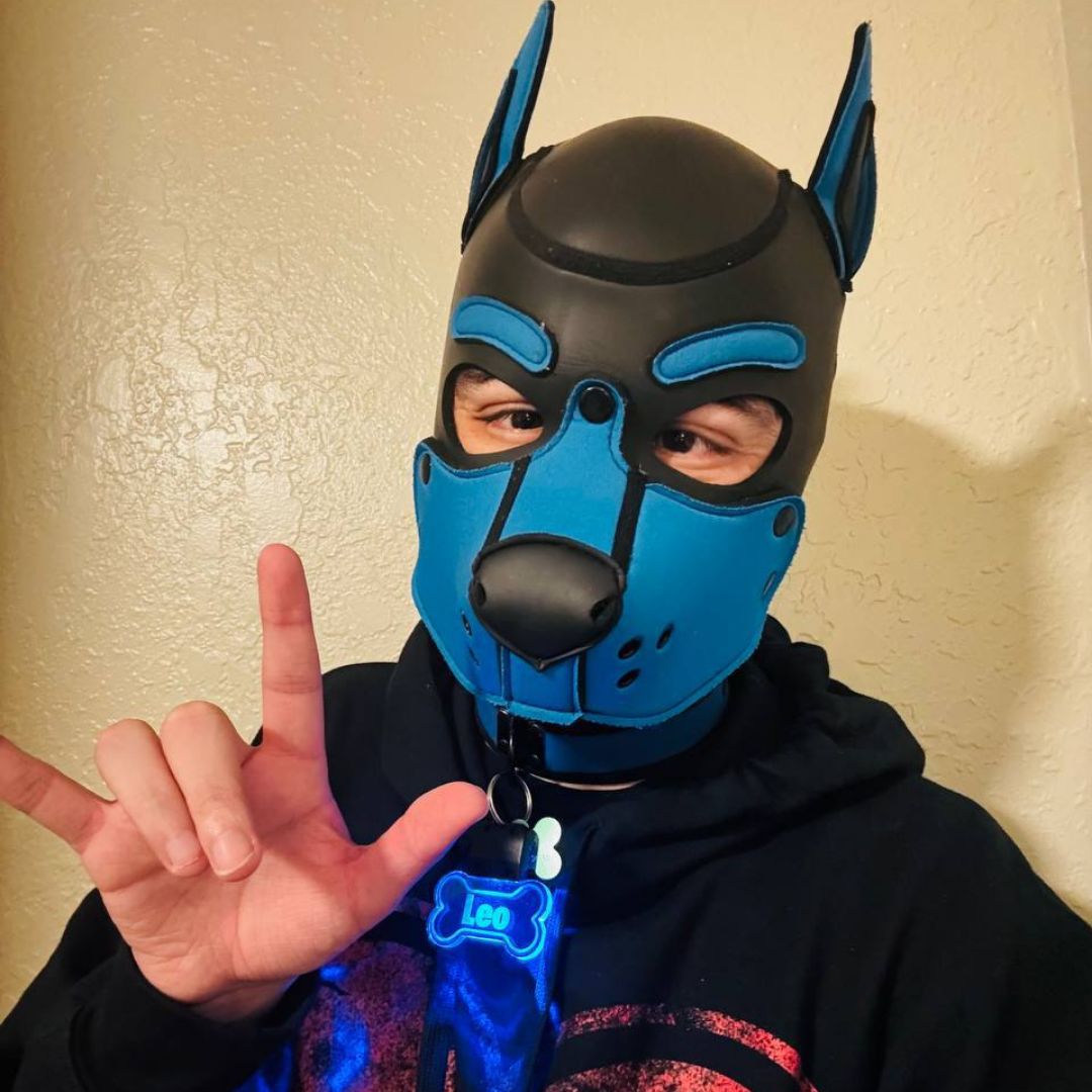 Photo of Pup Leo