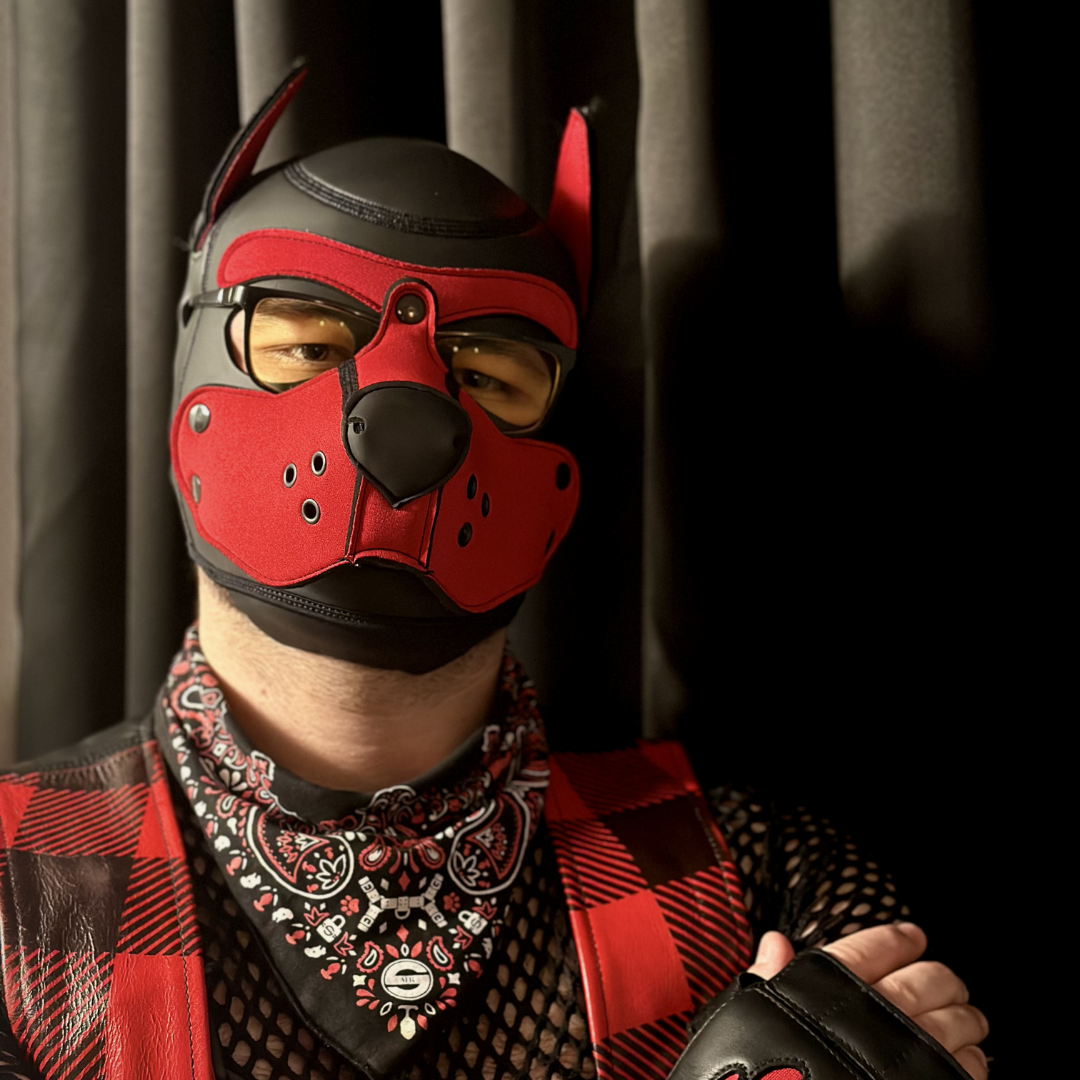 Photo of Pup Pyxis